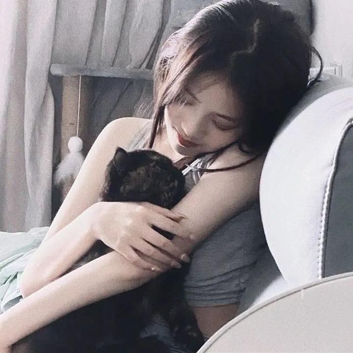 刚左档案
